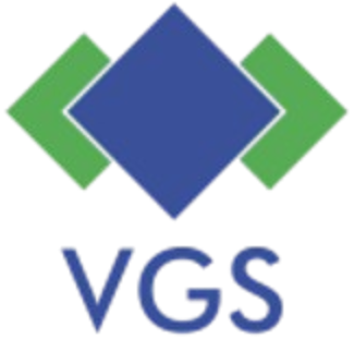 VGS Business Domains
